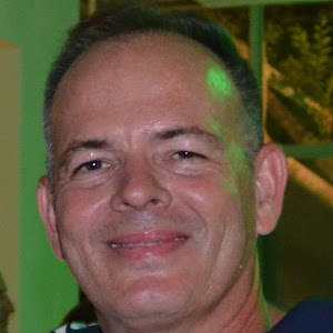 תמונה - אלון תמונה - אלון