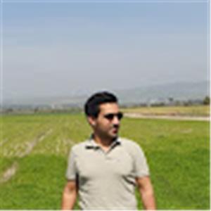 תמונת משתמש