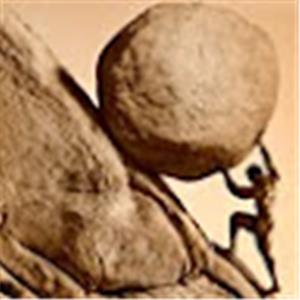 תמונת משתמש