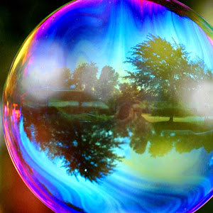 תמונת משתמש