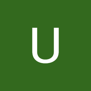 uzi