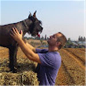 תמונת משתמש