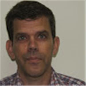 עמיר - תמונה