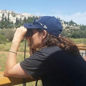 תמונת משתמש