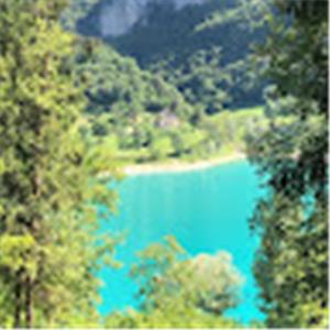 תמונת משתמש