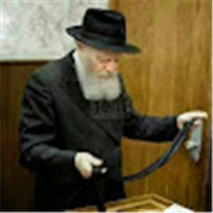 תמונת משתמש