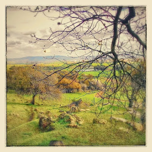 תמונת משתמש