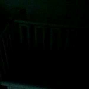 תמונת משתמש