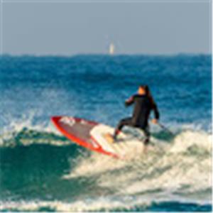 תמונת משתמש