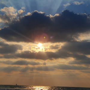 תמונת משתמש