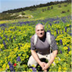 קובי