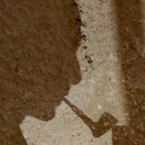 תמונת משתמש