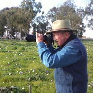 תמונת משתמש