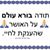 עדינה