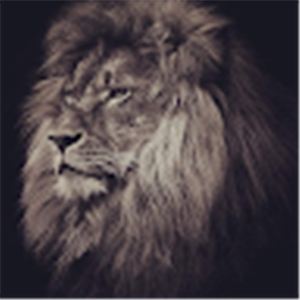 תמונת משתמש