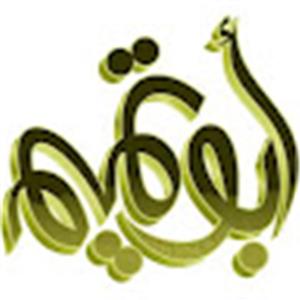 תמונת משתמש