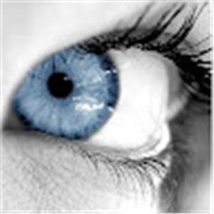 תמונת משתמש