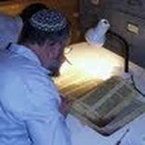 תמונת משתמש