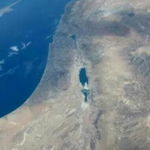 עמי - תמונה עמי - תמונה