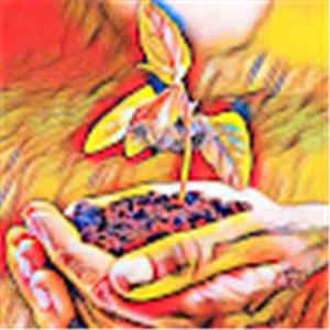 Iris - תמונה Iris - תמונה