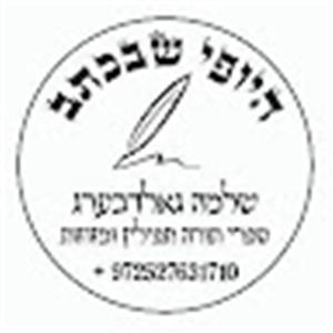 שלמה גולדברג - תמונה