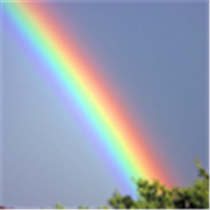 ירון - תמונה