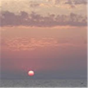 asafamit - תמונה