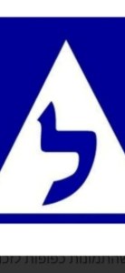 מורה לנהיגה אשדוד יעל רואימי - תמונה