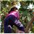 leabar200100 - תמונה leabar200100 - תמונה