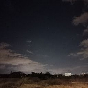 דיאנה - תמונה דיאנה - תמונה