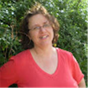 איריס - תמונה