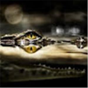 SoloTape - תמונה