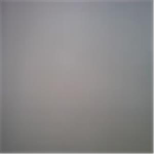 מאיר - תמונה