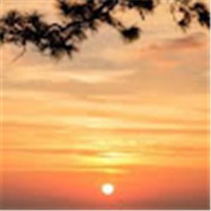 L I A D — - תמונה