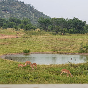 יאיר - תמונה יאיר - תמונה