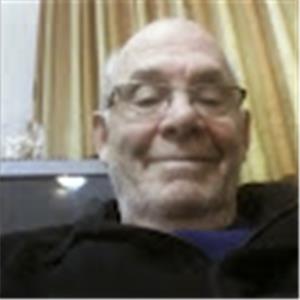 צבי - תמונה צבי - תמונה
