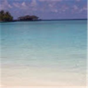 karpsa56 - תמונה