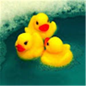 e0548452900 - תמונה