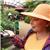 anica.shmelzer - תמונה anica.shmelzer - תמונה