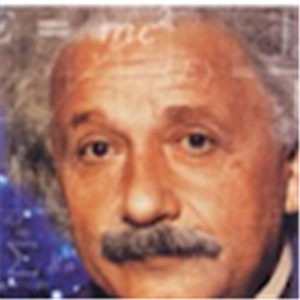 הראל - תמונה הראל - תמונה