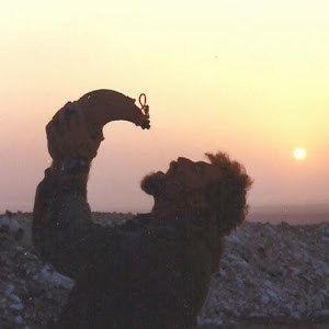 rlapin - תמונה