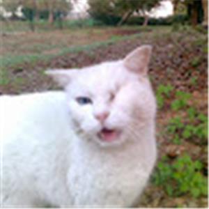 duz.poowa - תמונה duz.poowa - תמונה