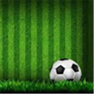 shakedifootball5 - תמונה shakedifootball5 - תמונה