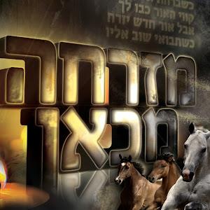 soo - תמונה soo - תמונה