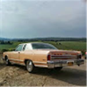 yossinedivi - תמונה yossinedivi - תמונה