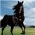 haitham.faris900 - תמונה haitham.faris900 - תמונה