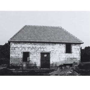 אבינועם חלבי - תמונה