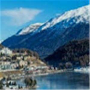 avi8410740 - תמונה