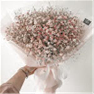 n0527626637 - תמונה