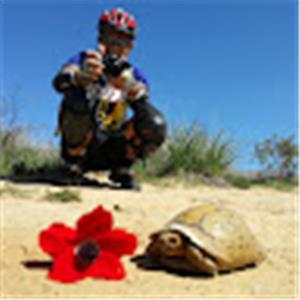 ofersharon50 - תמונה